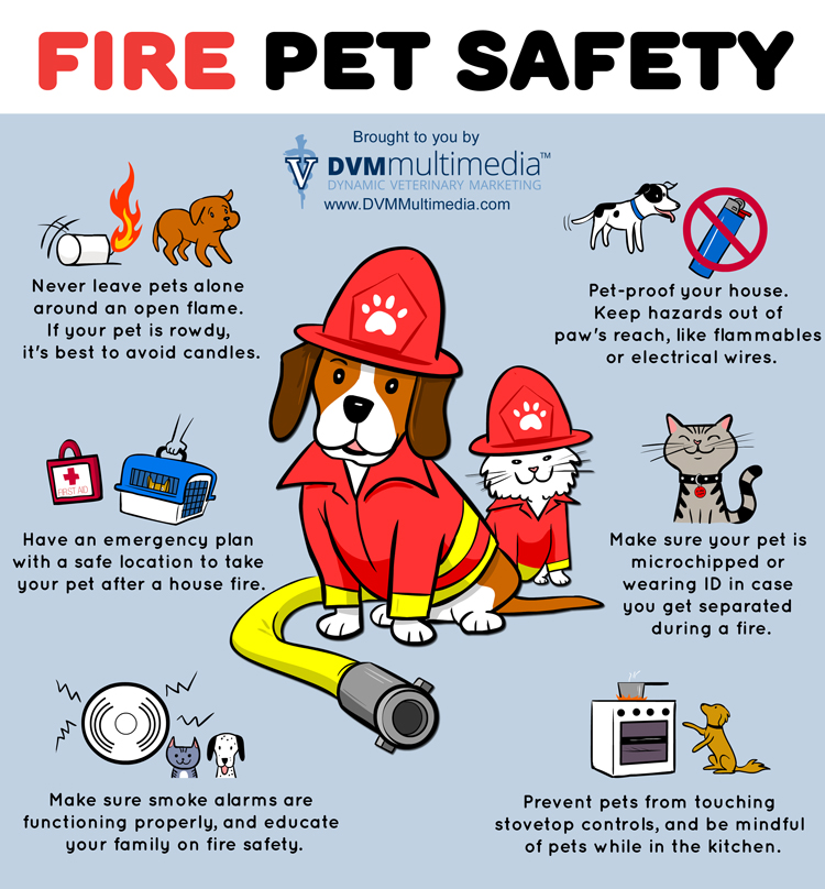 fire-pet-safety